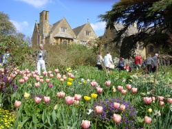Hidcote-1.jpg